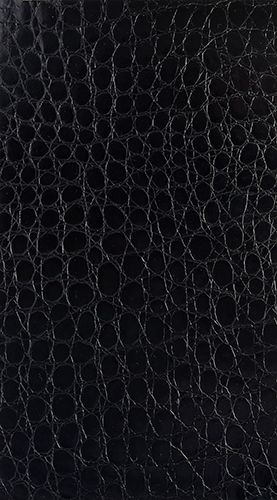 backcover